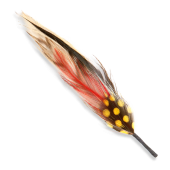 Chapeaux d'illustration